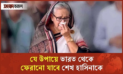 যে উপায়ে ভারত থেকে ফেরানো যাবে শেখ হাসিনাকে